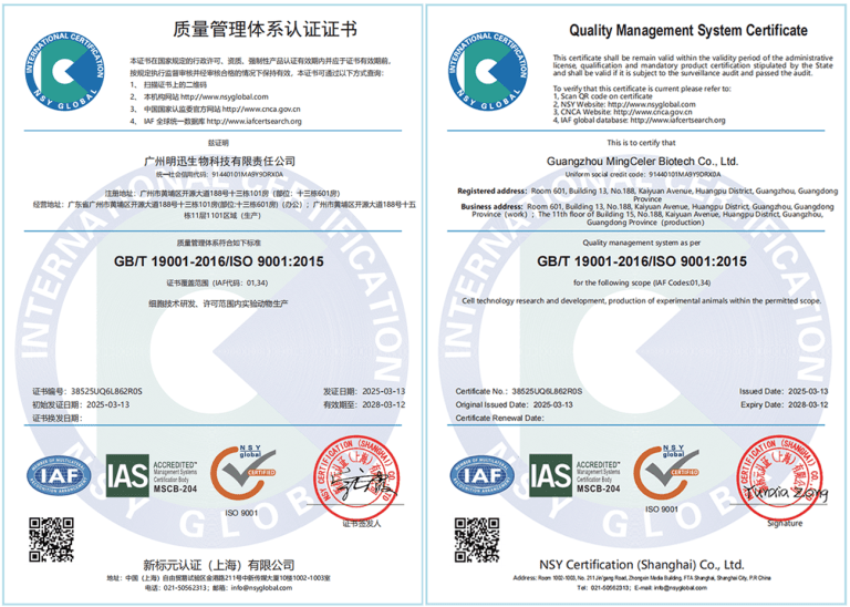 ISO-sets