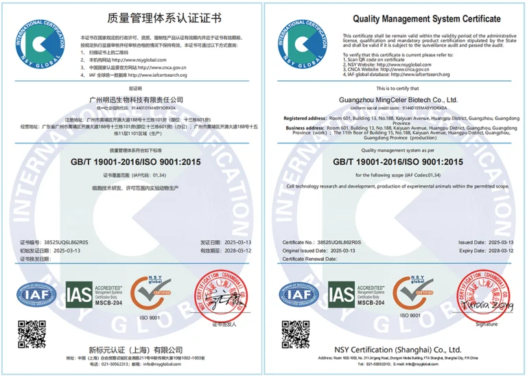 ISO-sets