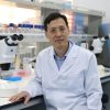 Guangming Wu