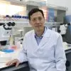 Guangming Wu