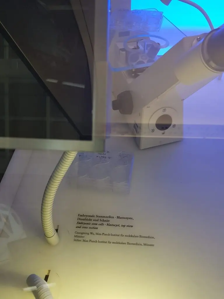 Stifter: Max- Planck-Institut für molekulare Biomedizin, Münster