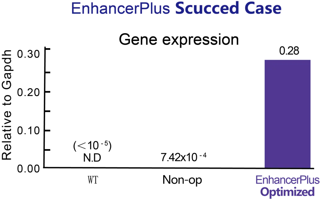 Enhancerplus Succeed Case